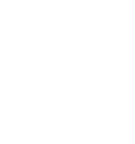 ISPS Code Logo